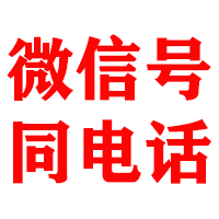 额济纳旗金顺追账公司